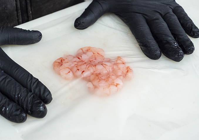 Comelofacciamo_Gamberoappiattimento