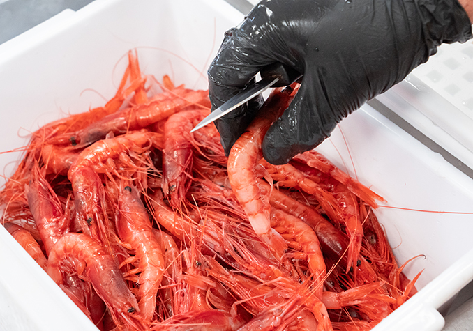 Comelofacciamo_Gamberorosso_lavorazione