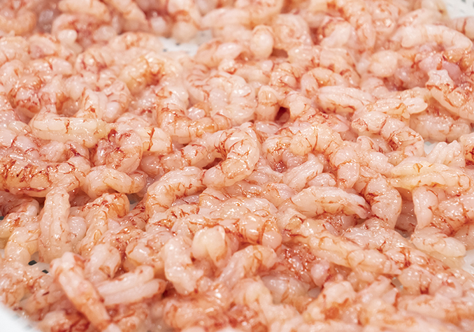 Comelofacciamo_gamberirossi_sgusciati