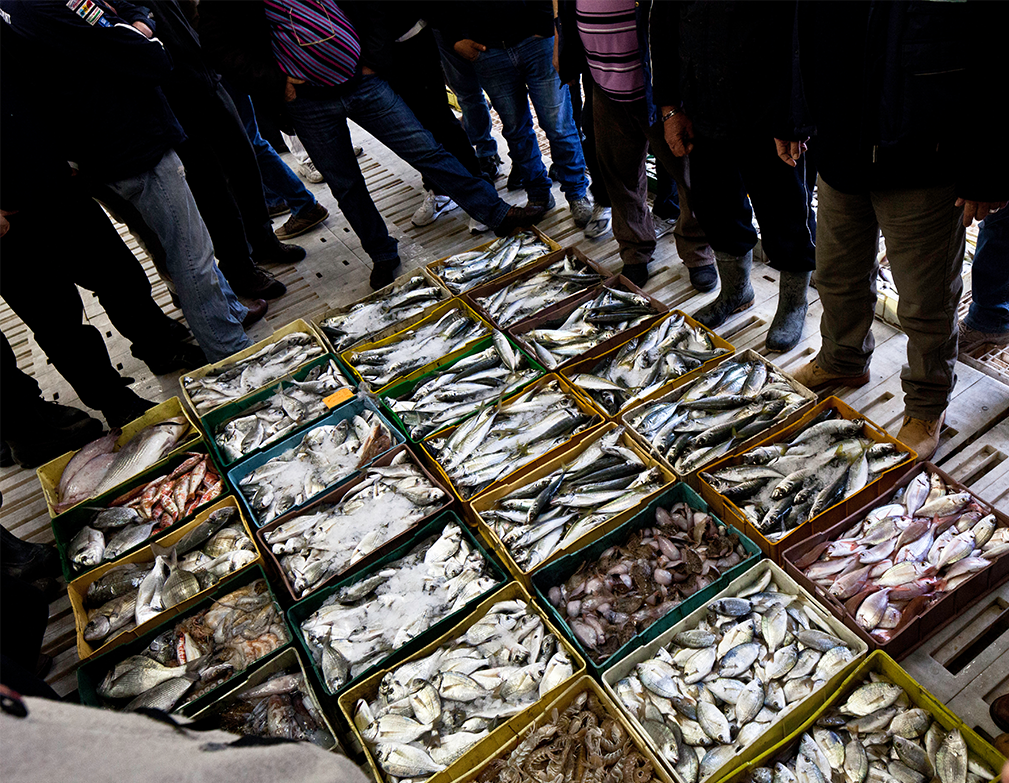 centrale galleria_10