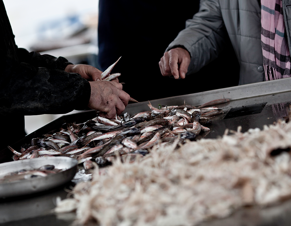 centrale galleria_11