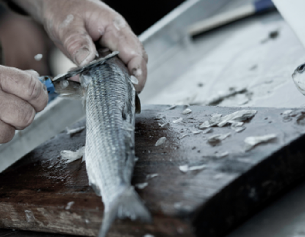 centrale galleria_13