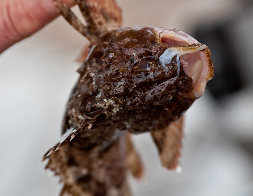 centrale galleria_18