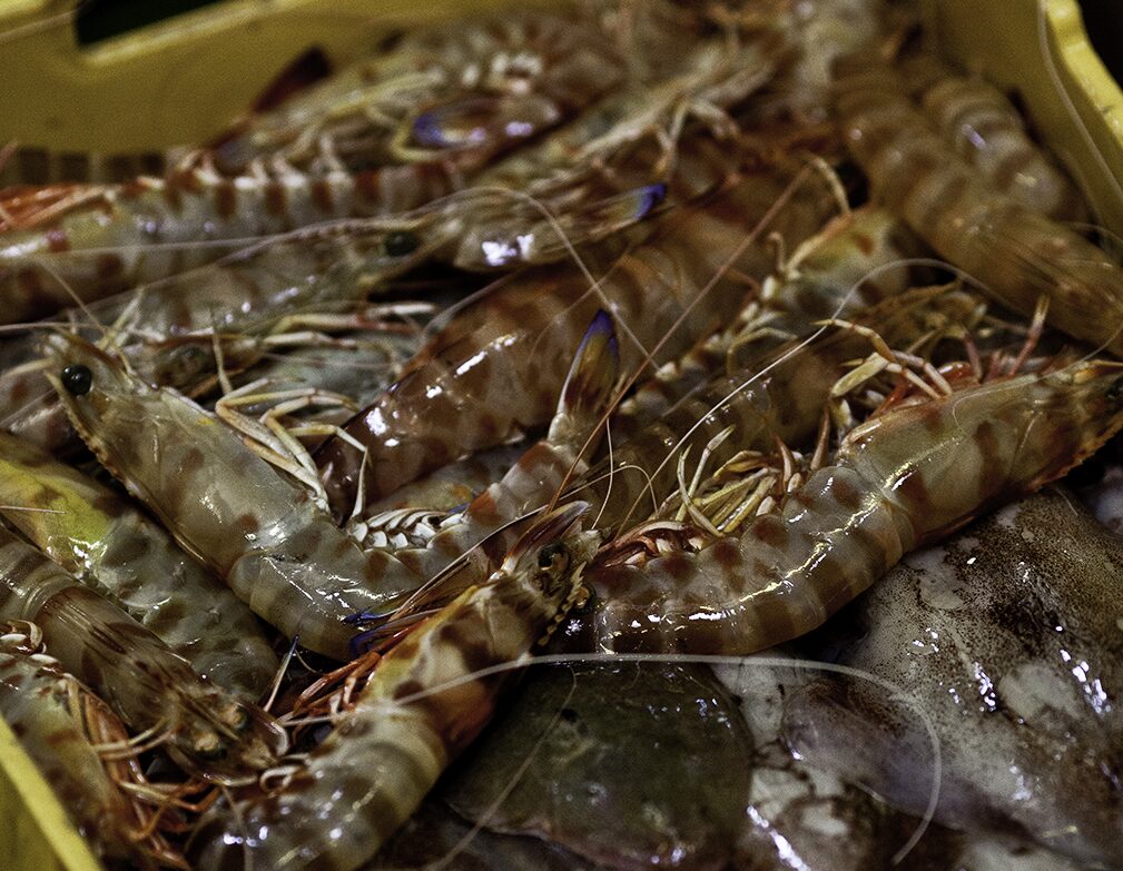 centrale galleria_19