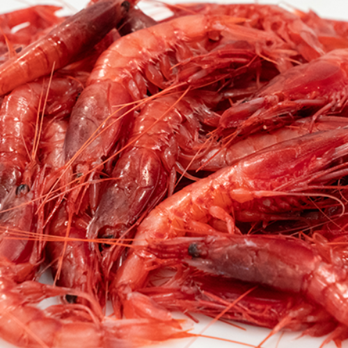 PSS_galleria lav gambero