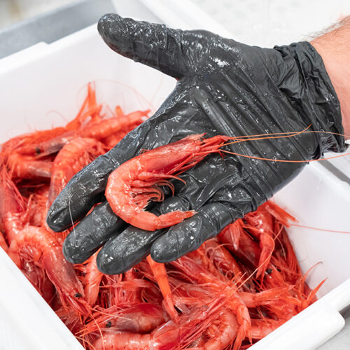 lavoarzione manogamberetto_1466238